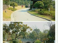 -花溪公园