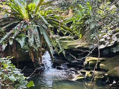 -EG Waterhouse Camellia Gardens Sutherland Shire