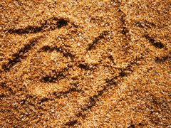 -白沙门生态公园