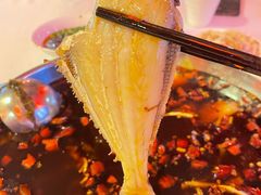 -川道拐耗儿鱼(置信路店)