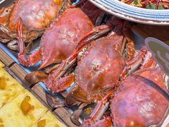 -喝丢一只鞋海鲜烧烤·海肠捞饭(东关街店)