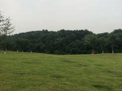 -羊山湖公园