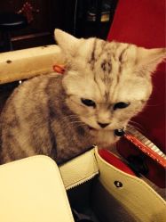 点击看大图 iphone_upload_pic-TWOFACE双面理发馆