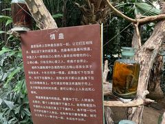 -呀路古热带植物园