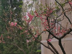 -中央民族大学