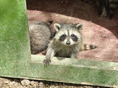 -水上乐园·欢乐世界