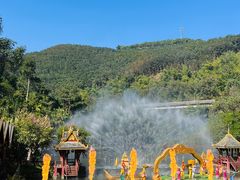 -西双版纳原始森林公园