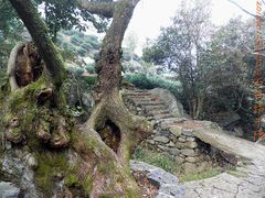 -祁门牯牛降观音堂风景区