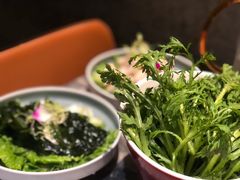 -大头椰·海南椰子鸡火锅(思明万象城店)