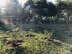 -东莞植物园