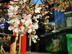 -绿地风尚天地广场