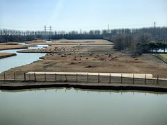 -溱湖国家湿地公园