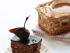 -BLACKSWAN黑天鹅(环球店)