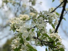 -贵阳市花溪国家城市湿地公园