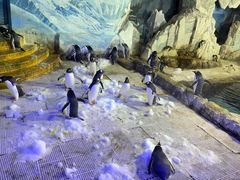 -成都浩海立方海洋公园