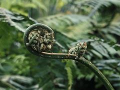 -国家植物园南园