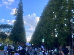 -黄海国家森林公园