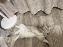 -老杨头烧烤(博烤堂店)