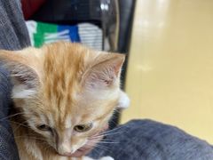 -瑞派天宁宠物医院·猫科·异宠中心