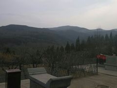 android_upload_pic-蒙山大佛景区