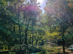 -长白岛森林公园