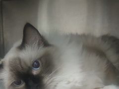 -佳雯宠物医院·皮肤科·内外科(春晓路分院)