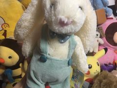 -PAWTOY爪e玩偶店(天兴罗斯福店)