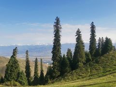 -新疆那拉提国家旅游度假区