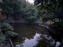 -木子山庄·安徽省老字号·中国炖锅宴