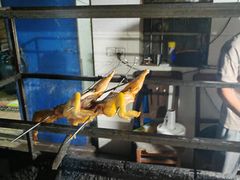-阿清嫂农家乐.黎窑烤鸡