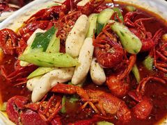 -京悦南门涮羊肉·羊蝎子火锅(田林路店)