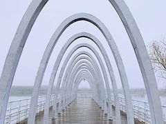 -大兴滨河森林公园