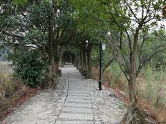 -皤滩古镇