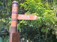 -海南热带雨林国家公园吊罗山景区