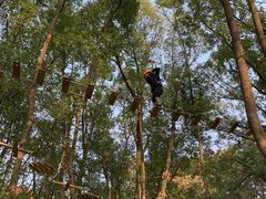 -WeLope紫金山探险公园