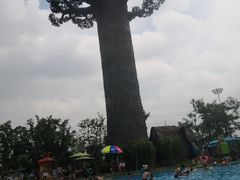 -苏州乐园森林水世界