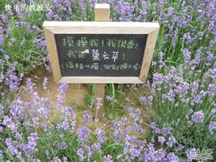 -云峰山自然风景区