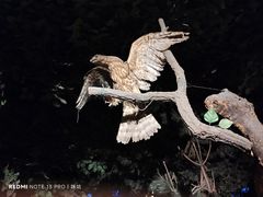 -大连自然博物馆·地球展厅