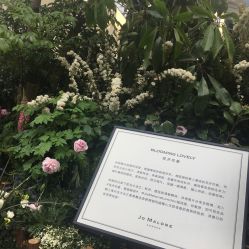 点击看大图 -祖·玛珑