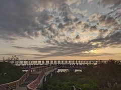 -宝安西湾红树林湿地公园