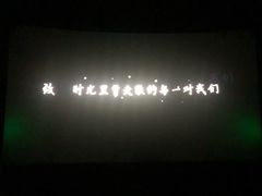 -幸福蓝海国际影城(崇安寺T12店)