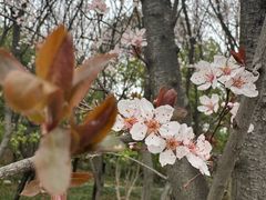 -长广溪湿地公园