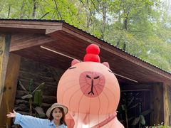 -石燕湖生态旅游景区