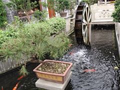 -顺德了能馆(虎门店)