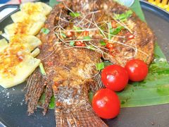 -老滇山寨•云南特色菜•地方菜•民族风情歌舞表演(经开区店)