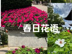 -常熟方塔园