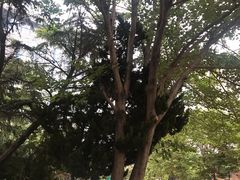 -青岛市图书馆