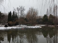 -洛阳市隋唐城遗址植物园