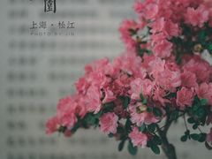 -上海方塔园