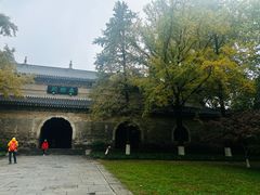 -灵谷景区